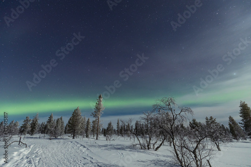 Aurora borealis Northern Lights in Lapland, Finland photo