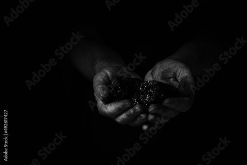 Dirty hands miner holding coal in black and white photo.Heavy coal mining.