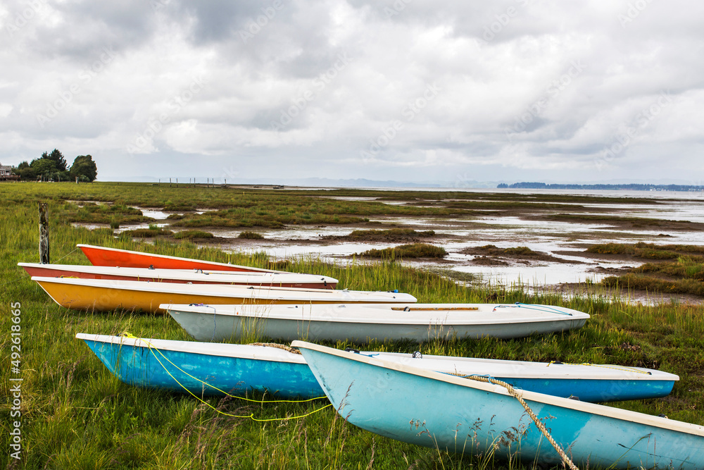 Colorful boats sit on grass near a marshy waterway