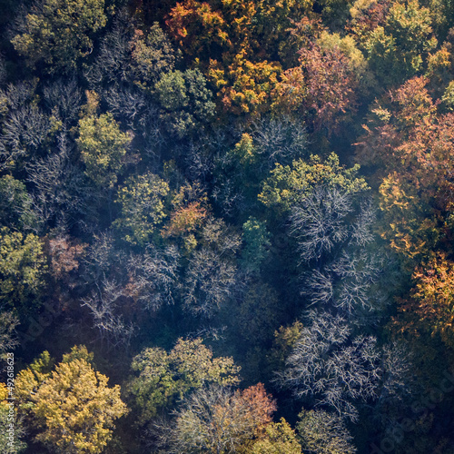 vue aérienne de la forêt en automne à Hénonville dans l'Oise en France