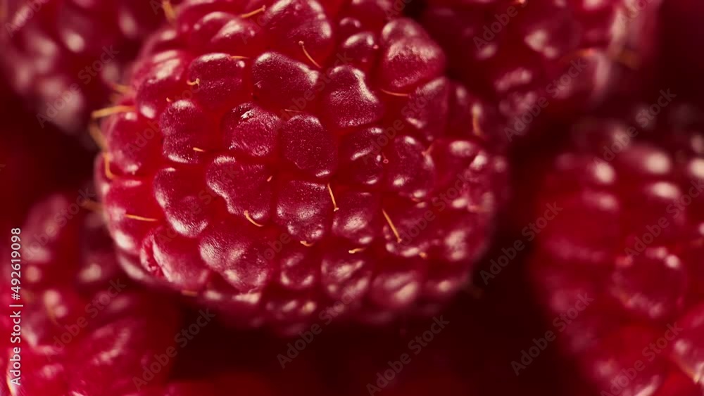 Spinning ripe red raspberries, close-up, above view
Spinning ripe red raspberries, close-up, above view