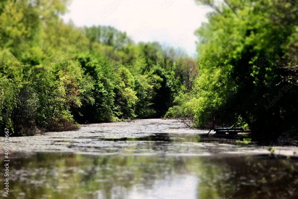 Charles River, The Island