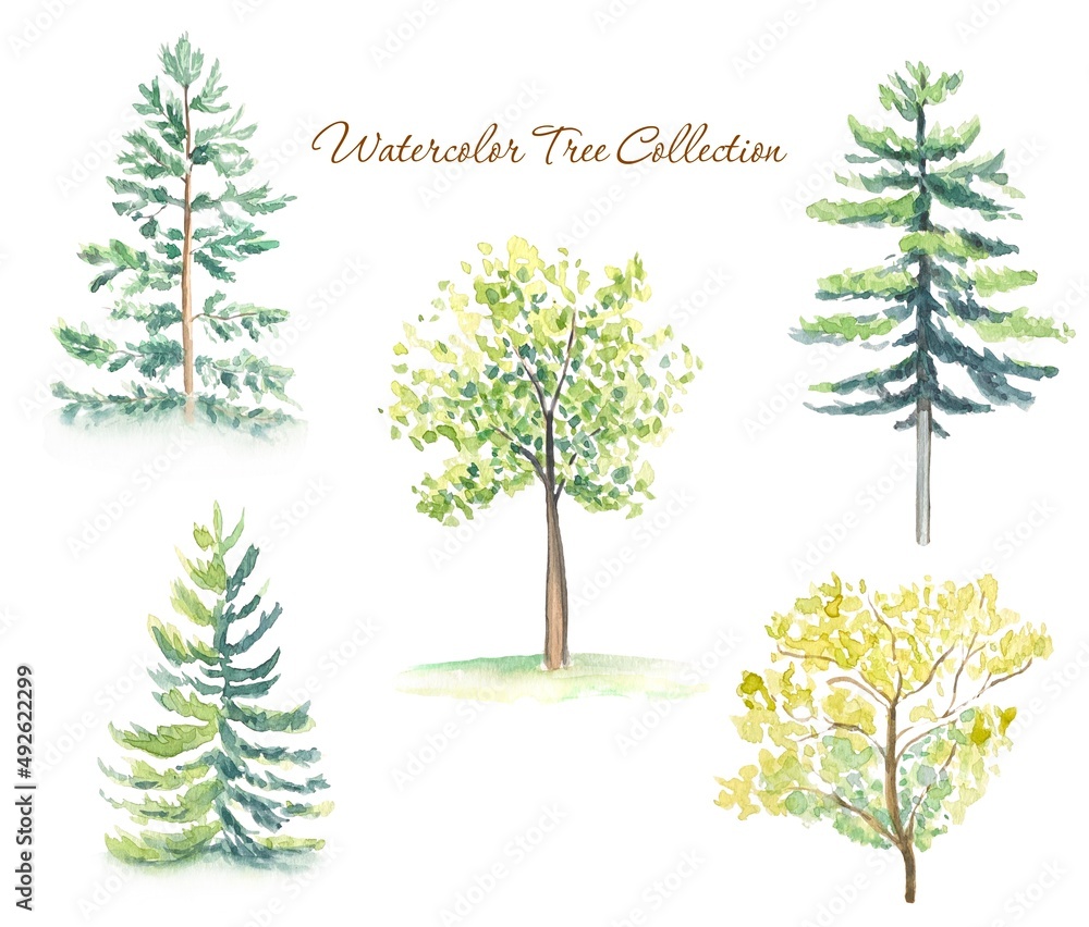 Fototapeta premium Collection of watercolor trees on white background