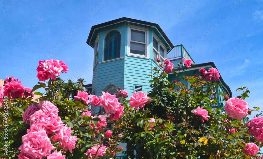 spring roses with colorful house