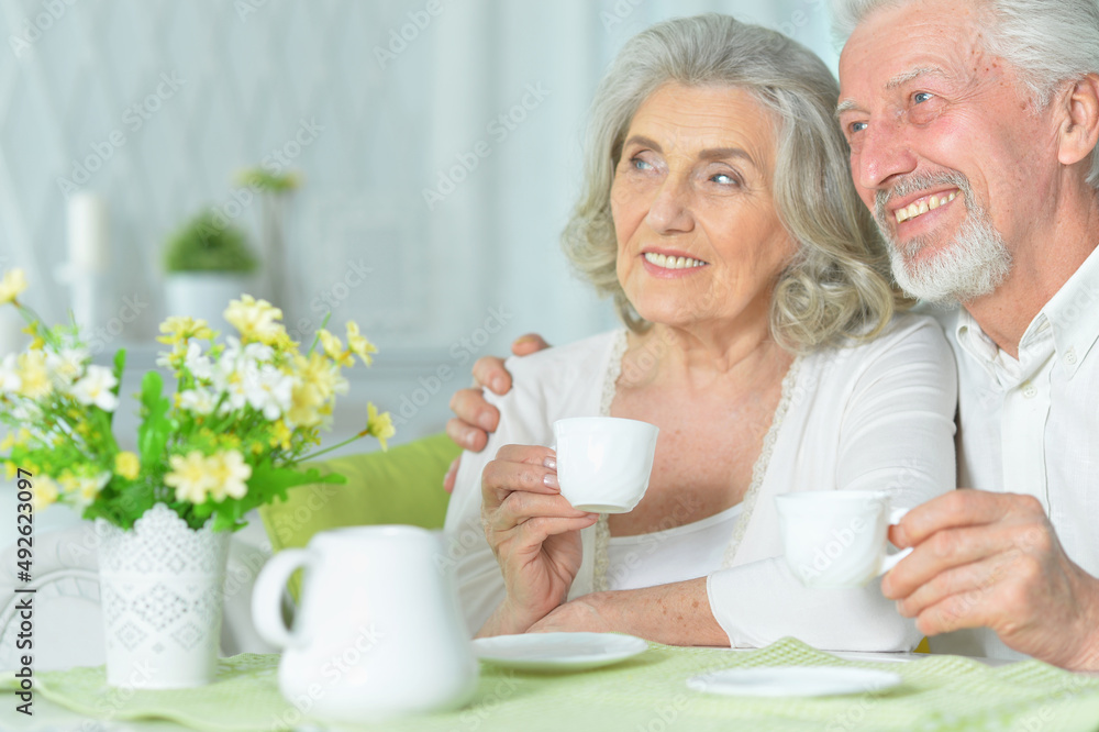Portrait of happy senior couple drinking tea Portrait of happy senior couple drinking tea
