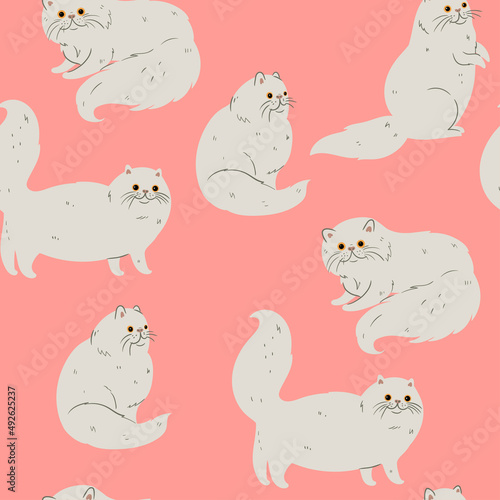 Seamless pattern with cute persian cats. Vector graphics.