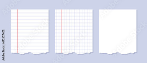 A set of lined and squared notebook pages with red margins. Torn sheets of paper. Vector clipart isolated on white background. 
