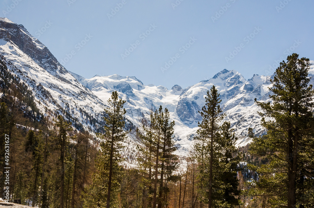 Bernina, Morteratsch, Gletscher, Val Bernina, Berninapass, Piz Bernina, Engadin, Oberengadin, Gletscherweg, Alpen, Graubünden, Winter, Schweiz Bernina, Morteratsch, Gletscher, Val Bernina, Berninapass, Piz Bernina, Engadin, Oberengadin, Gletscherweg, Alpen, Graubünden, Winter, Schweiz