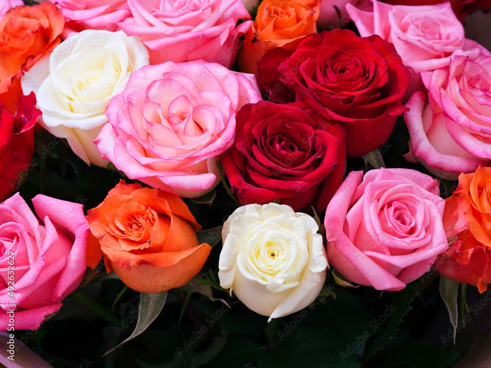 A large beautiful bouquet of multicolored roses A large beautiful bouquet of multicolored roses