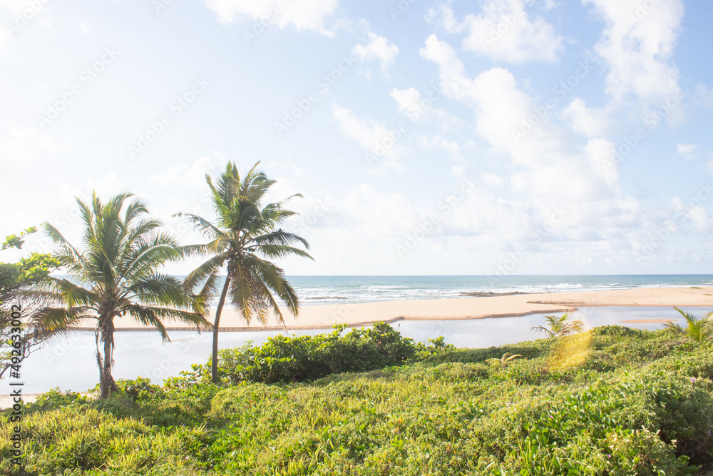 Paradise Beach and river in a sunny day with some palm trees in brazil