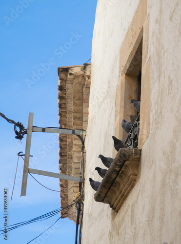 doves at a window in Creixell, Tarragona photo