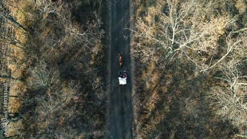 Aerial Drone View Flight Over horse-drawn cart with people and white bags that rides along dirt road between trees on sunny day. Horse-drawn transport, transportation. Old authentic rural countryside