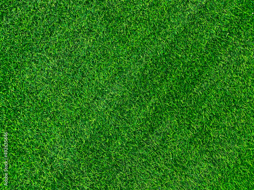 Green grass texture background grass garden concept used for making green background football pitch, Grass Golf, green lawn pattern textured background..