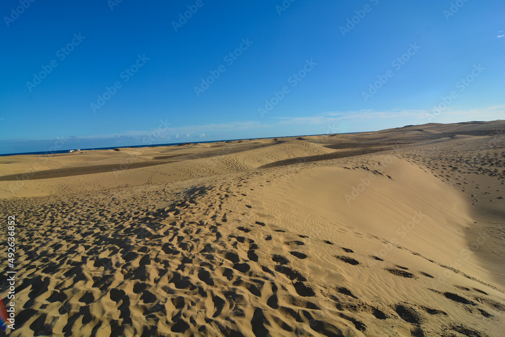 dune di maspalomas isola gran canaria dune di maspalomas isola gran canaria