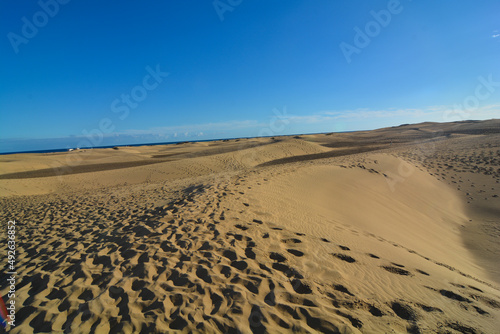 dune di maspalomas isola gran canaria