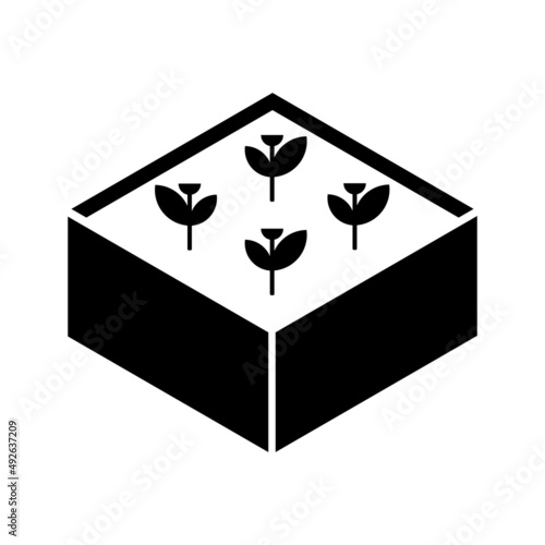 Seedling box icon. Vector illustration isolated on white background