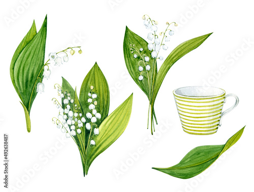 Watercolor clip art. Lilies of the valley. Twigs, leaves, bouquets and a striped cup. White spring flowers.