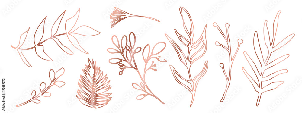 Fototapeta premium Vector plants and grasses in gold style with shiny effects. Minimalist style. Hand drawn plants. With leaves and organic shapes. For your own design.