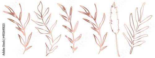 Fototapeta Naklejka Na Ścianę i Meble -  Vector plants and grasses in gold style with shiny effects. Minimalist style. Hand drawn plants. With leaves and organic shapes. For your own design.