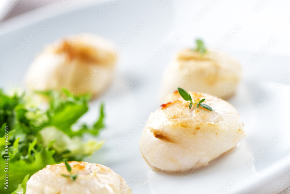 Seared Scallops with Side Salad on a plate Seared Scallops with Side Salad on a plate