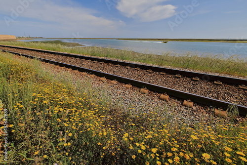 The Algarve Line-Linha do Algarve railway along Ria Formosa. Faro-Portugal-146 photo