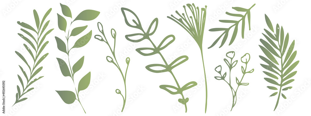 Fototapeta premium Vector plants and grasses. Minimalist style in green colors of hand drawn plants. With leaves and organic shapes. For your own design.