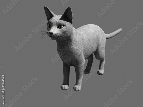 3d computer rendered illustration of a house cat photo