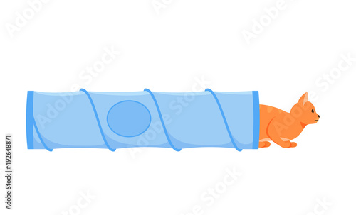 Cat tunnel. Cute red cat in collapsible toy tube. Hiding and resting place for indoor pet. Flat style vector 