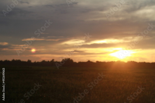 sunset over the field © SMshuvo