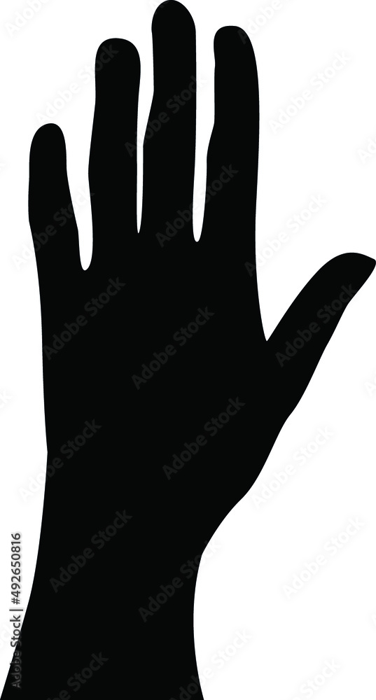 An image of a woman's hand. The woman's hand is monochromatic. The structure of a woman's hand. Pattern of the hand