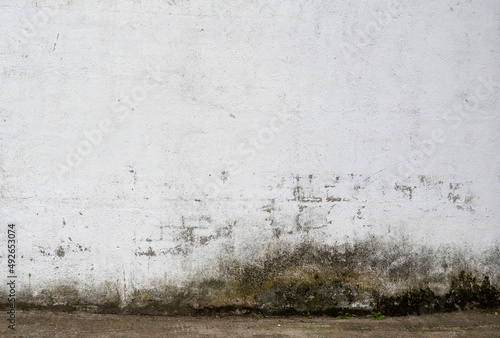 Foto Old wall with mold