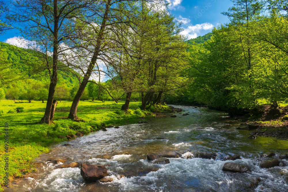 spring landscape with river and trees on the shore. mountains in the distance. sunny day and blue sky with clouds spring landscape with river and trees on the shore. mountains in the distance. sunny day and blue sky with clouds