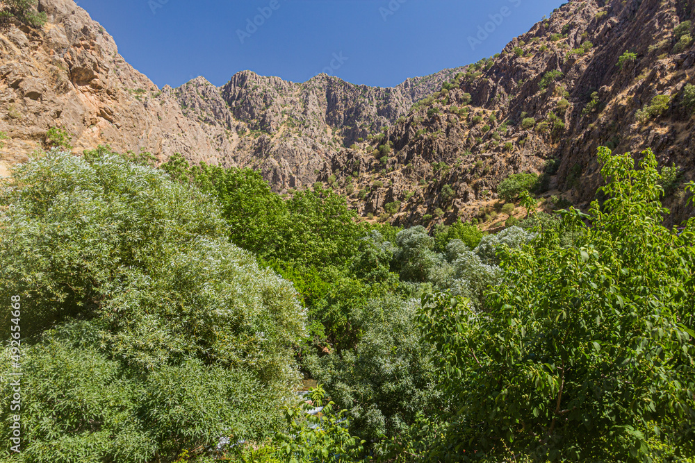 Canyon near Palangan village in Kurdistan region, Iran