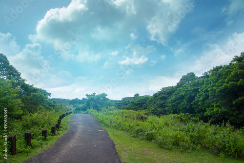 Grey road between forest , Nature photography, Forest road under cloudy blue sky Kerala India 