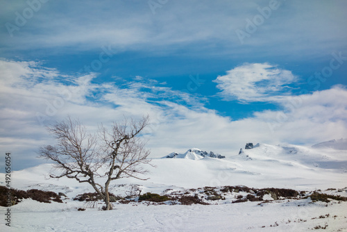 montagne enneigé sous un ciel bleu à Chastreix