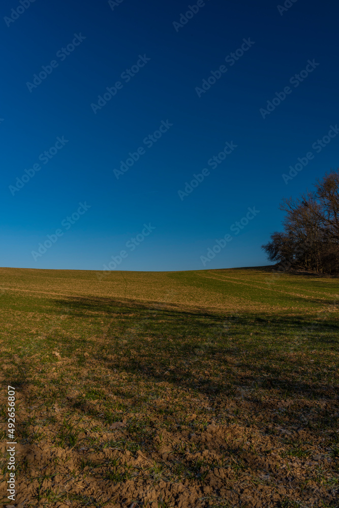 Green field and blue sky in winter sunny morning in Litovel area Green field and blue sky in winter sunny morning in Litovel area