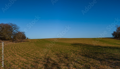 Green field and blue sky in winter sunny morning in Litovel area photo