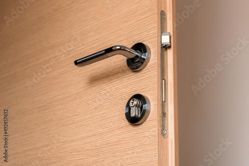 Modern metallic door handle on medium density fiberboard bedroom door photo