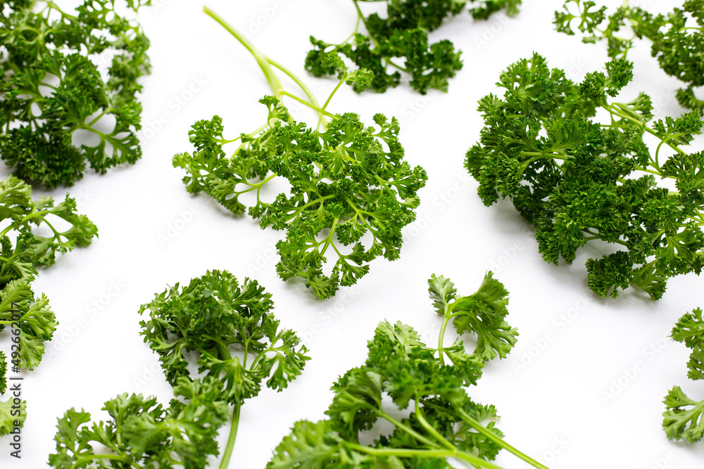 Fresh parsley on white background. Fresh parsley on white background.
