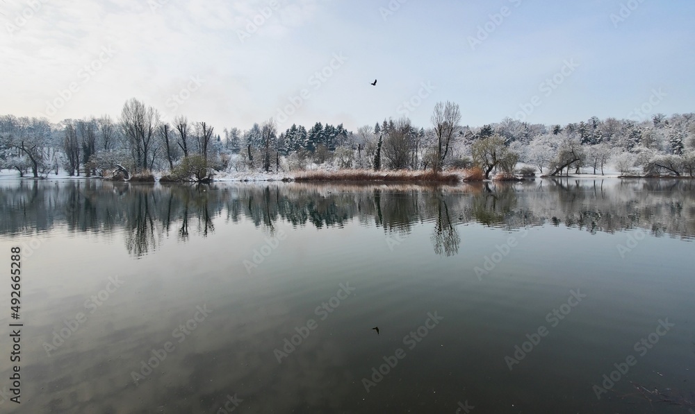 Landscape with lake and trees during winter - park in the city