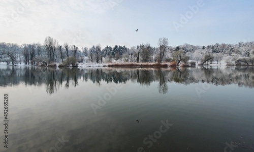Landscape with lake and trees during winter - park in the city