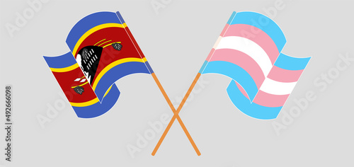 Crossed and waving flags of Eswatini and Transgender Pride