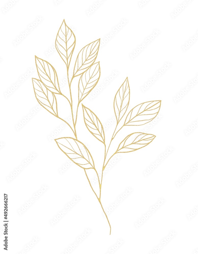 Gold line botanical illustration of branch Gold line botanical illustration of branch