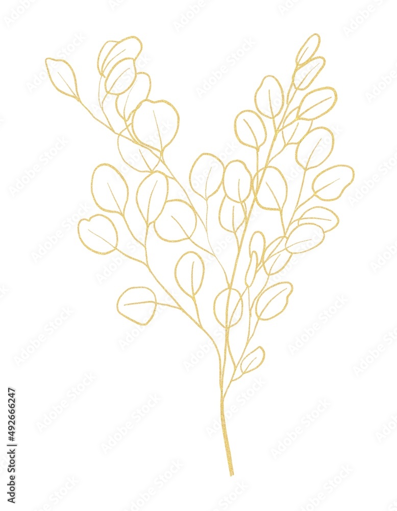 Gold line botanical illustration of branch