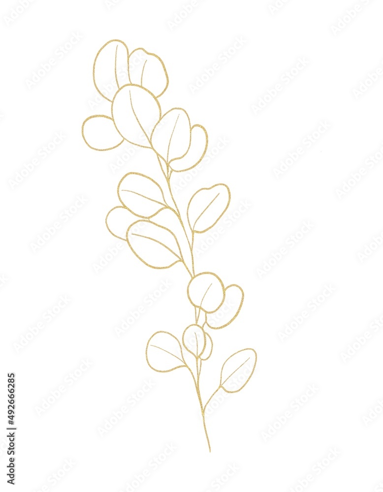 Gold line botanical illustration of branch Gold line botanical illustration of branch