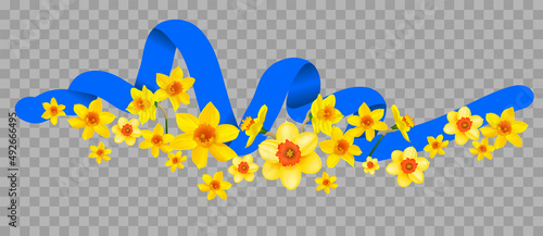 Daffodils with a blue ribbon