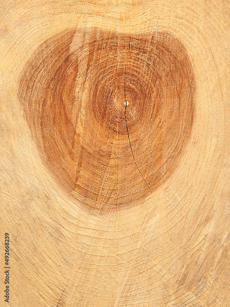 Wooden background, texture of a sawn tree with interesting figured circles and a middle with a crack, close-up Wooden background, texture of a sawn tree with interesting figured circles and a middle with a crack, close-up