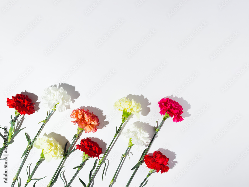 Fototapeta premium White, yellow, pink and red carnation flowers laid diagonally on white background.