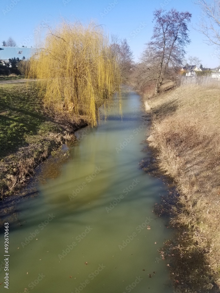 river in the autumn river in the autumn