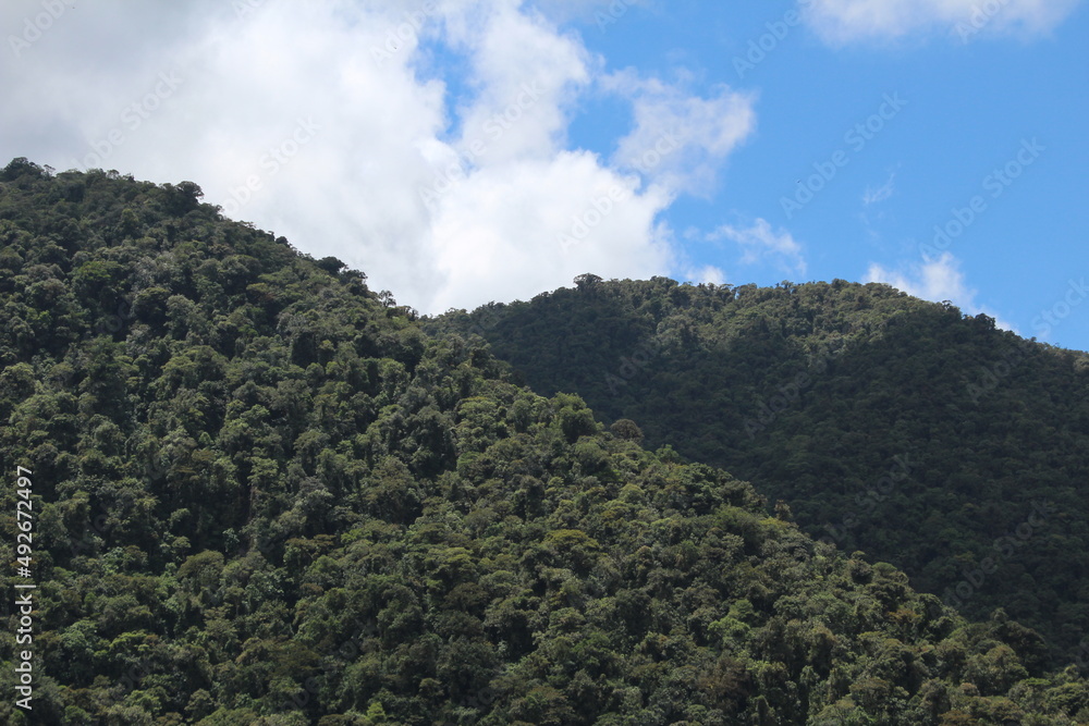 View of the hills from Tapanti National Park with tropical cloud forest View of the hills from Tapanti National Park with tropical cloud forest